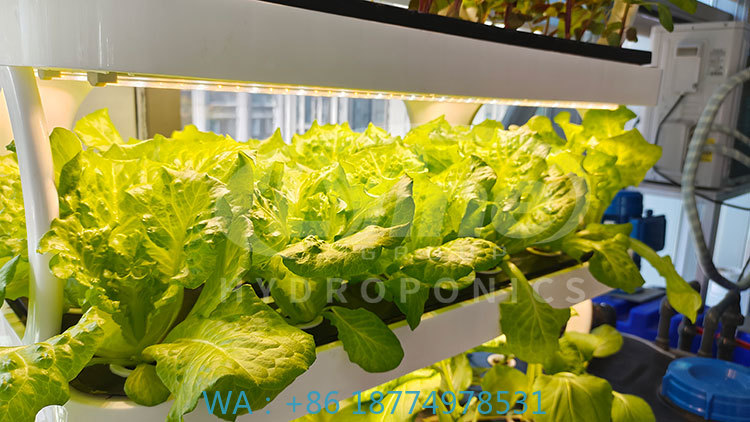 c Agriculture Machine to Growi - Agriculture Vertical Farming review and price