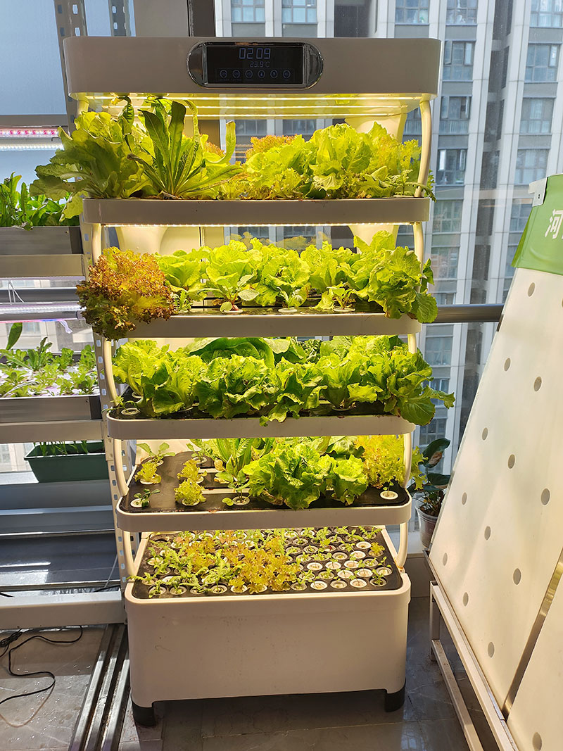 c Agriculture Machine to Growi - Agriculture Vertical Farming review and price