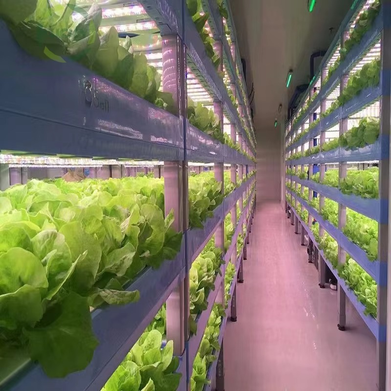 Custom Agricultural Greenhouse - Agriculture Vertical Farming review and price