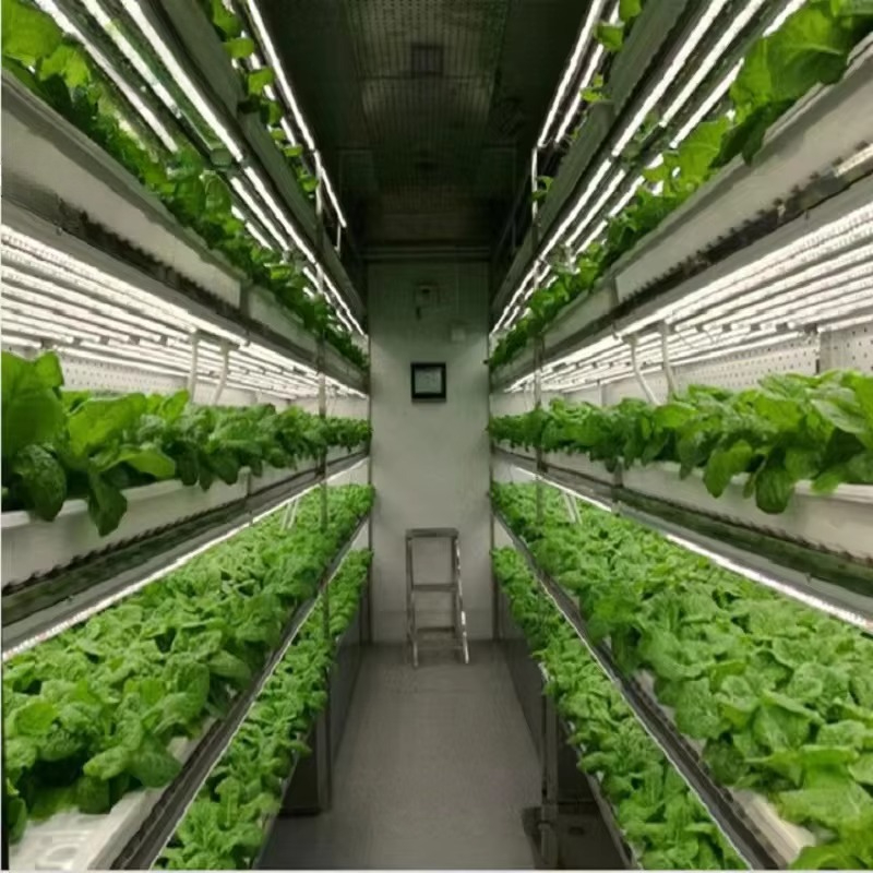 Custom Agricultural Greenhouse - Agriculture Vertical Farming review and price