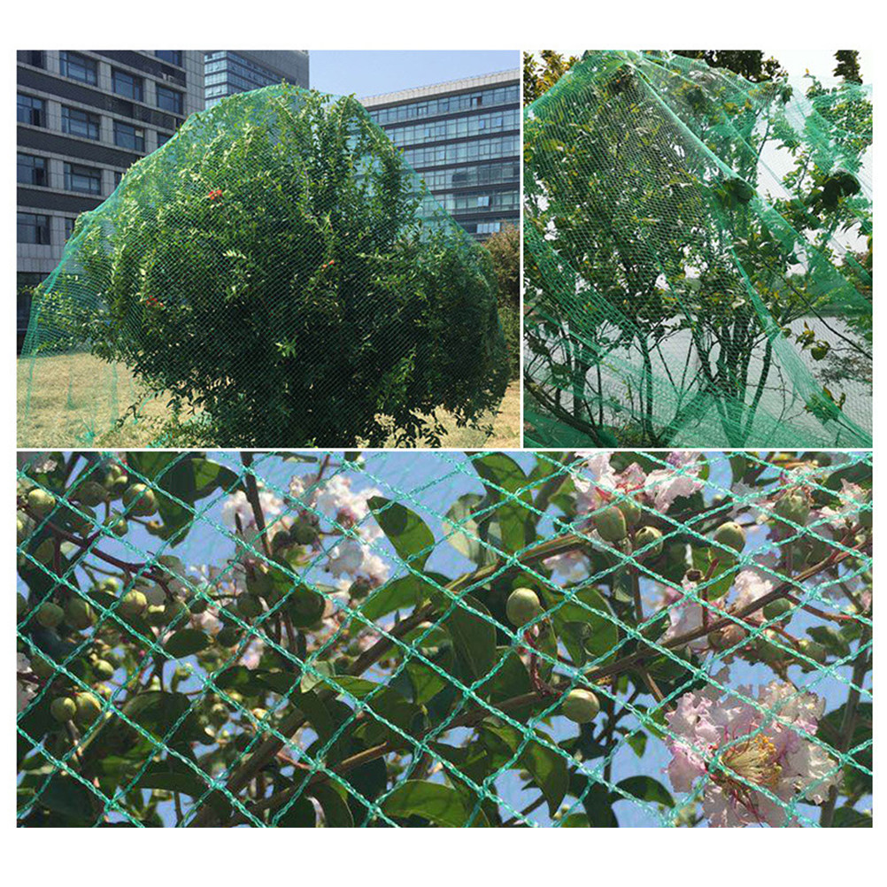 15M Anti Bird Net Green Fruit  - Agriculture Gardening Farming review and price