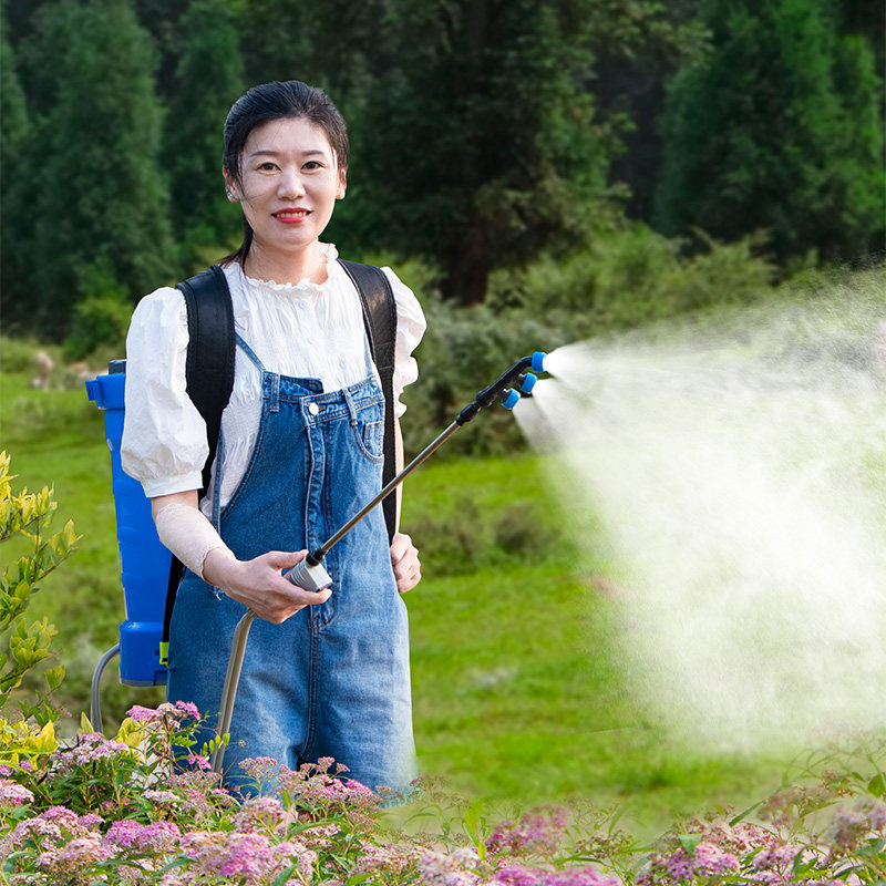 Disinfection Sprayer with Back - Crop Sprayer Backpack review and price