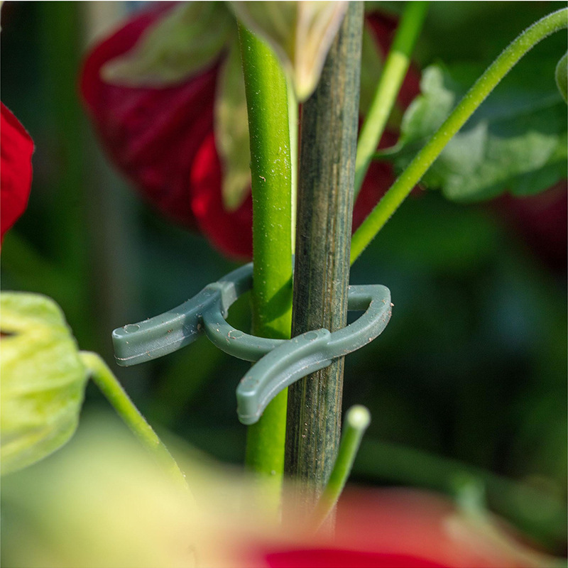 50/100pcs Garden Plant Clips V - Agriculture Vertical Farming review and price