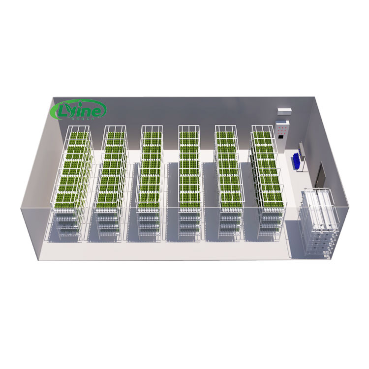 Agricultural Greenhouses Lettu - Agriculture Vertical Farming review and price
